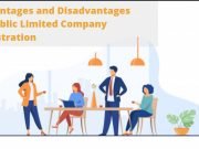 Advantages and Disadvantages of Public Limited Company Registration Public Limited Company Registration