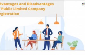 Advantages and Disadvantages of Public Limited Company Registration Public Limited Company Registration