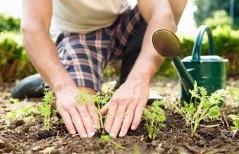 Best Home Garden Benefits: For Better Health gardening