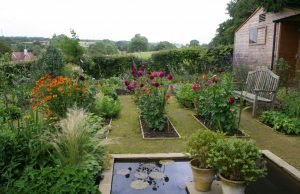 Kitchen Garden Tips : For a Productive Vegetable Garden kitchen-garden