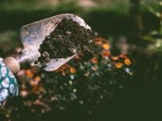 Importance of Soil for Your New Garden Foundation Importance of Soil