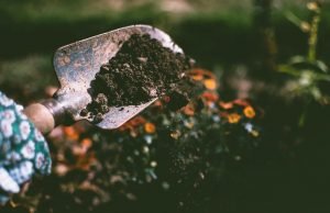 Importance of Soil for Your New Garden Foundation Importance of Soil
