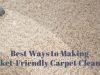 Best Ways to Making Pocket-Friendly Carpet Cleaning Carpet Cleaning
