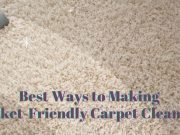 Best Ways to Making Pocket-Friendly Carpet Cleaning Carpet Cleaning