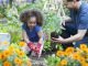 Best Ideas How Engage Kids in Gardening best ways to engage kids in gardening